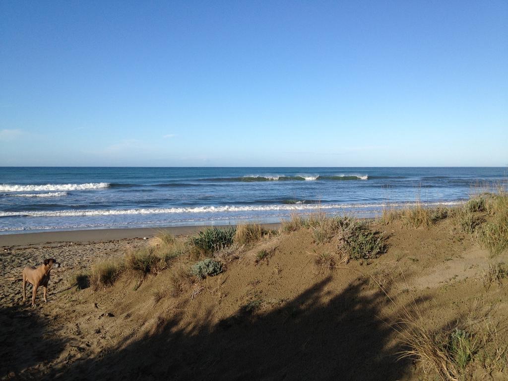 Tenuta Le Marze Castiglione della Pescaia Exterior foto